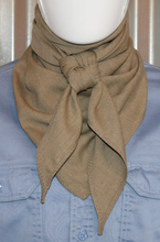 Load image into Gallery viewer, Wild Rag - Heathered Khaki - FR/AR Cat 2